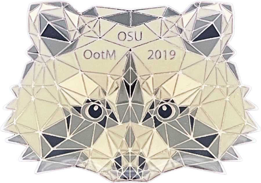creative Odyssey of the Mind pin designs of Racoon with Epoxy Soft Enamel